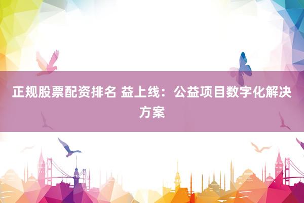 正规股票配资排名 益上线：公益项目数字化解决方案