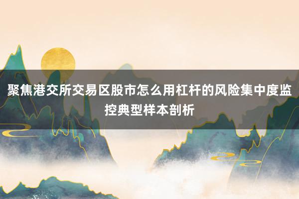 聚焦港交所交易区股市怎么用杠杆的风险集中度监控典型样本剖析