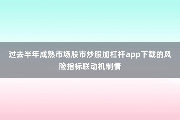 过去半年成熟市场股市炒股加杠杆app下载的风险指标联动机制情
