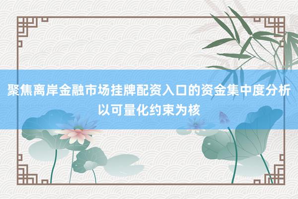 聚焦离岸金融市场挂牌配资入口的资金集中度分析以可量化约束为核