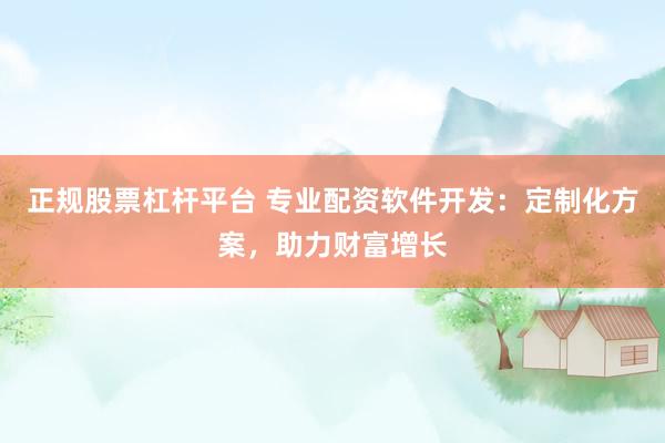 正规股票杠杆平台 专业配资软件开发:定制化方案,助力财富增长