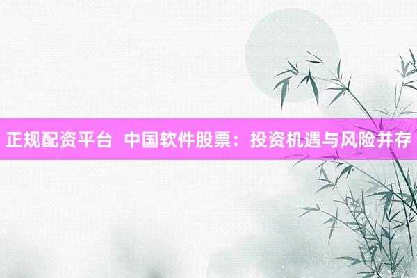 正规配资平台  中国软件股票：投资机遇与风险并存